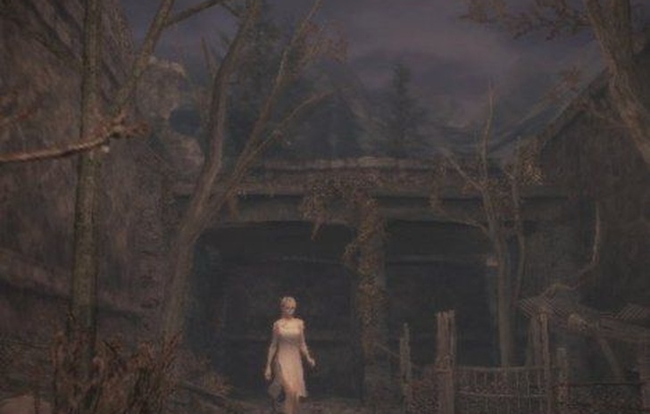 Haunting Ground