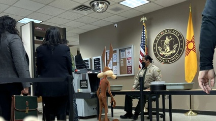 Addio a Wile E. Coyote vs. Acme: cancellato il film gia terminato