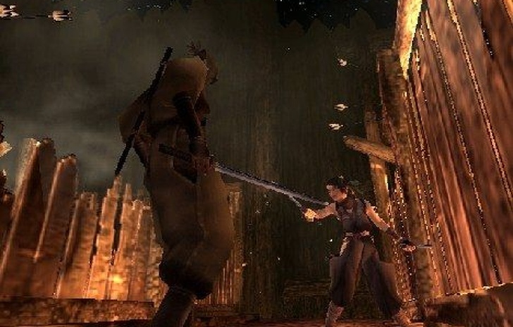 Tenchu Fatal Shadows