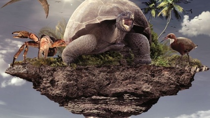 L'isola che non c'e esiste davvero