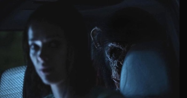 Ben - Rabbia animale: horror feroce e pulp in 2K