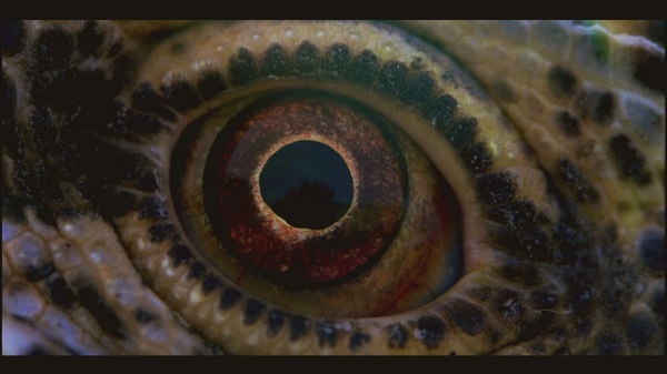 Voyage of Time si mostra in immagini