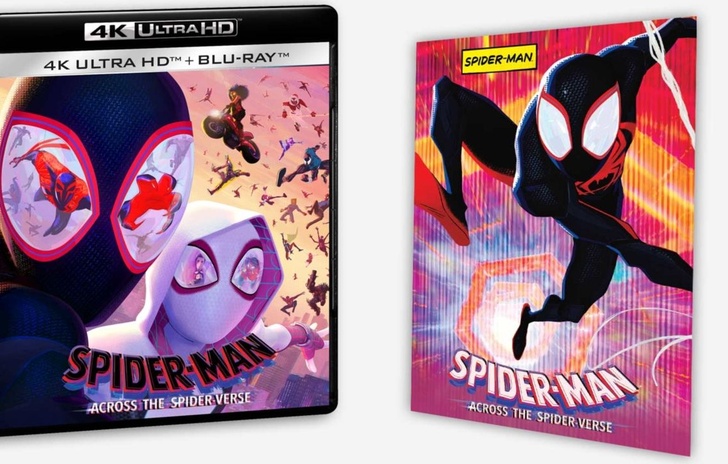 SpiderMan Across the SpiderVerse  Preorder per lHome Video