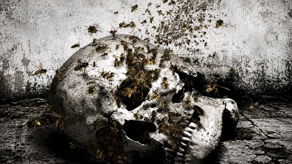 Hivemind, il prossimo incubo arriva volando