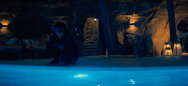  Ben &ndash; Rabbia Animale: una scimmia impazzita dall