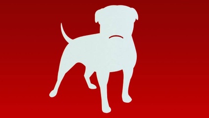 Zynga licenza il 18% del suo personale