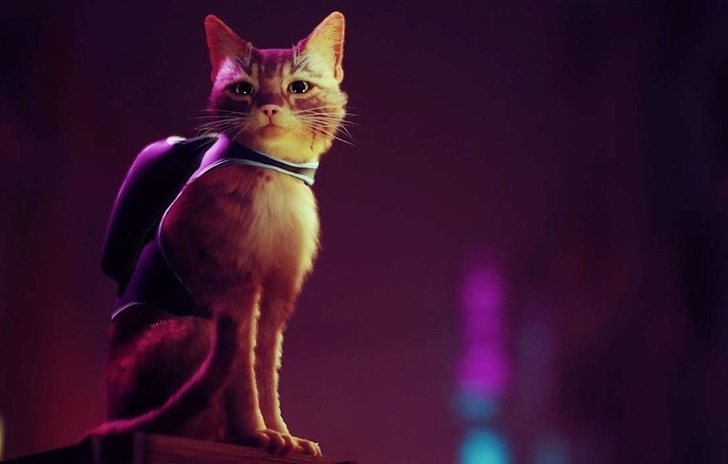 Anteprima Stray Annapurna ci guida nelluniverso felino del futuro