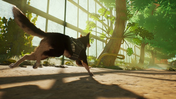 Digital Dragons 2026 - Barkour: lo 007 a quattro zampe di Varsav Studio