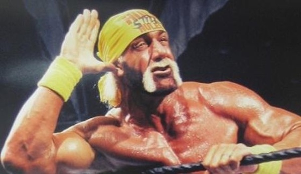 Hulk Hogan e stato rimosso da WWE 2K16 a causa dei suoi commenti razzisti