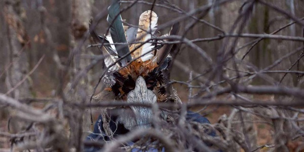 Il cuculo di cristallo: la serie mystery-thriller spagnola di Netflix