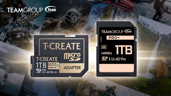 Teamgroup - Schede di memoria SDXC e MicroSDXC fino a 1 Terabyte