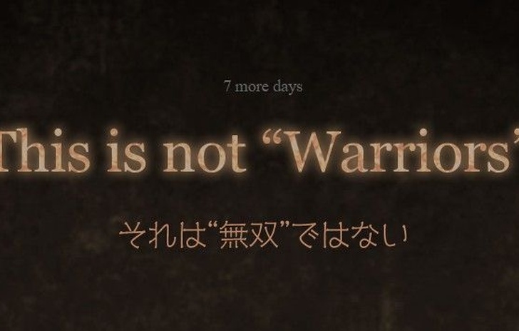Omega Force fa teasing su un gioco non Warriors