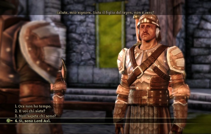 Dragon Age Origins