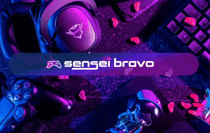 Senseibravo come funziona la piattaforma per vendere lezioni di gaming online