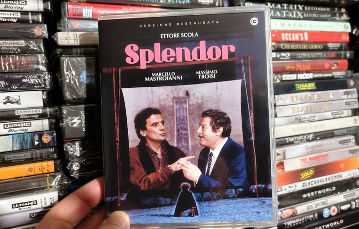 Splendor Il film di Scola in Bluray