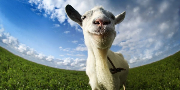 Goat Simulator esagera e Take-Two si arrabbia
