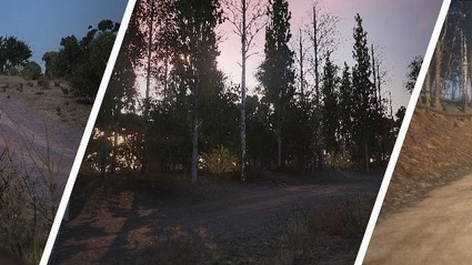 Sebastien Loeb Rally Evo svela le condizioni di luce