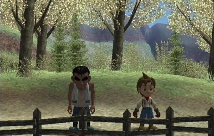Harvest Moon a Wonderful Life special edition
