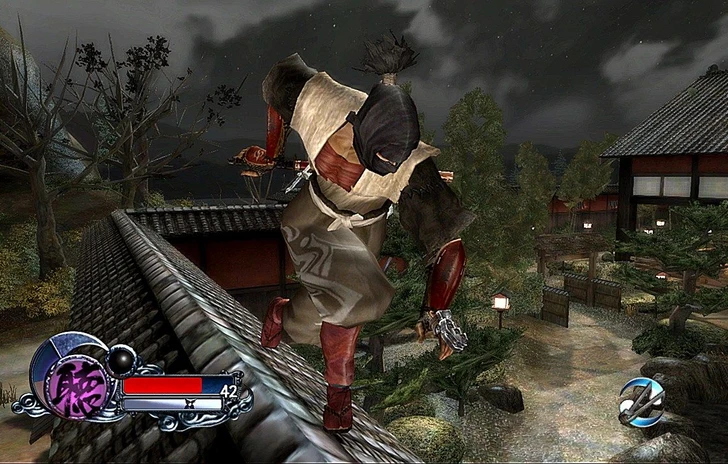 Tenchu Z