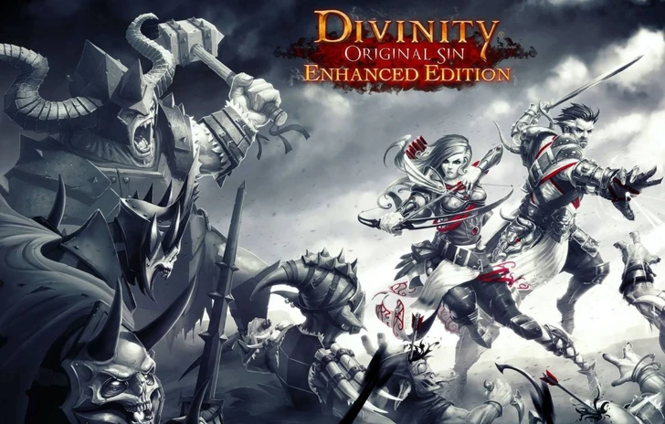 Divinity Original Sin Enhanced Edition