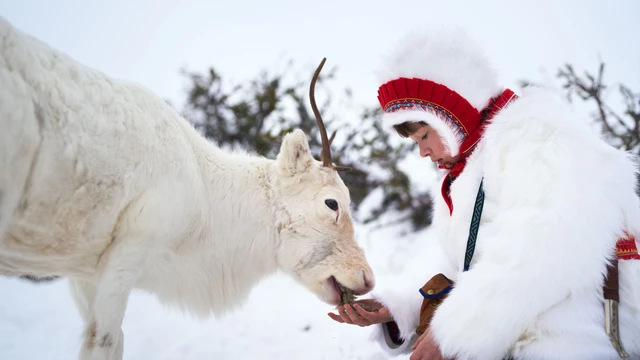 La ragazza delle renne la recensione del film svedese e quello che cè da sapere sui Sami