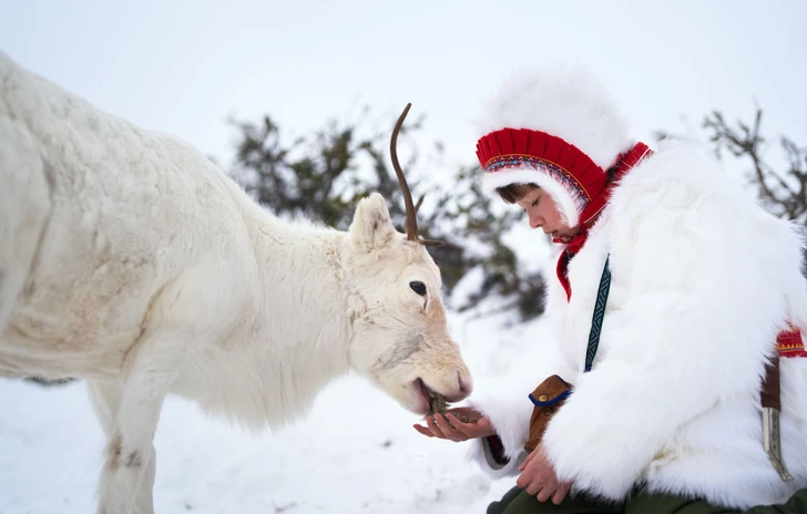 La ragazza delle renne la recensione del film svedese e quello che cè da sapere sui Sami