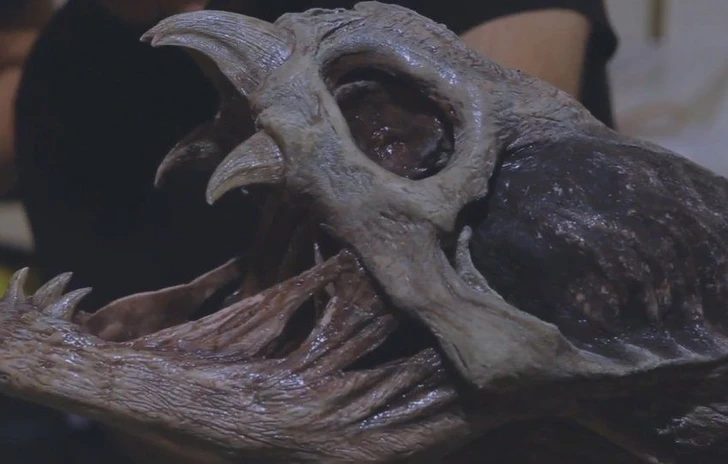 Video Backstage Il Pipistrello