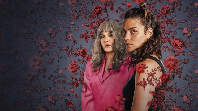 Soleil Noir la recensione faide e segreti di famiglia nelle campagne della Provenza