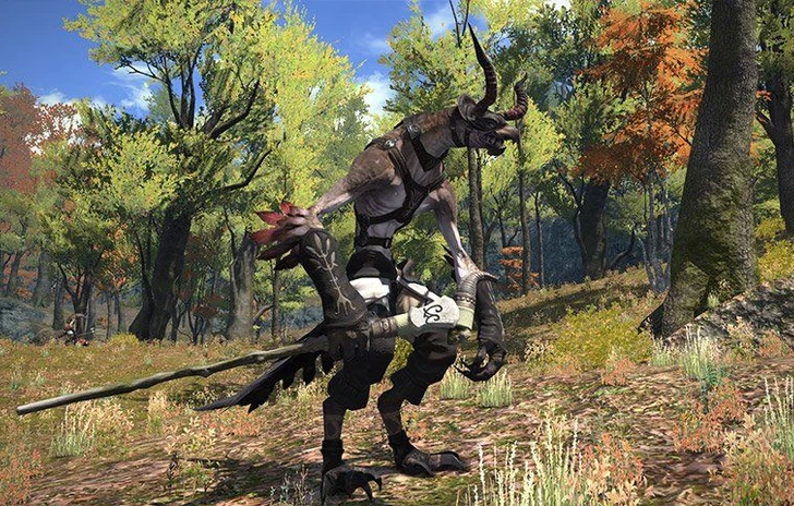 Final Fantasy XIV le regole della transizione