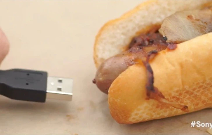 Sony trae energia dai principi nutritivi basilari