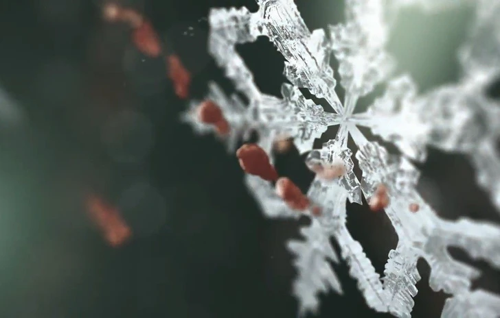 Sony ha in serbo qualcosa di glaciale per la GamesCom