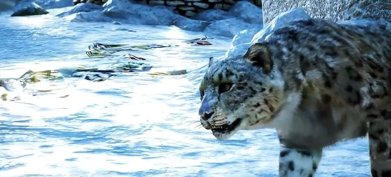 Nuovo video sulla geografia di Far Cry 4