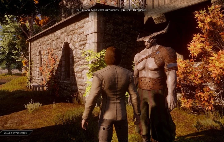 Poche ciance in Dragon Age E un bug
