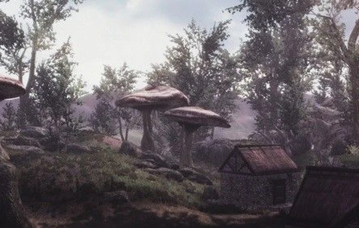 Skywind torna a farsi vedere