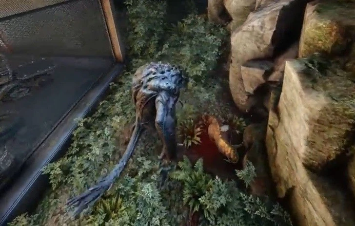 Evolve mostra la modalità Osservatore