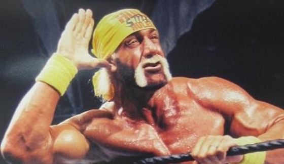 Hulk Hogan è stato rimosso da WWE 2K16 a causa dei suoi commenti razzisti