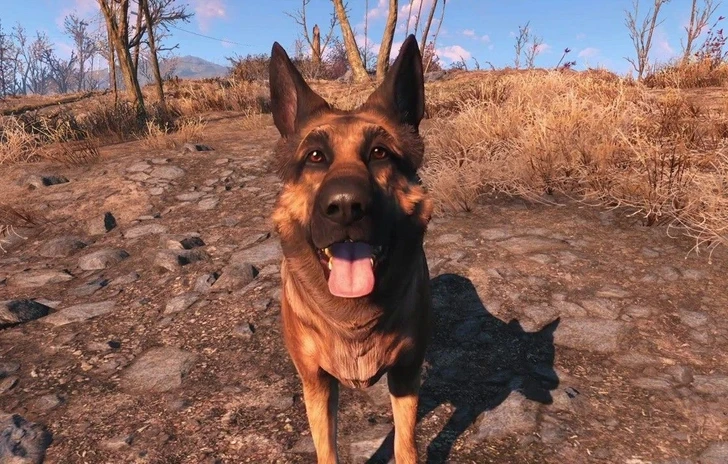 Dogmeat e gli altri compagni in Fallout 4