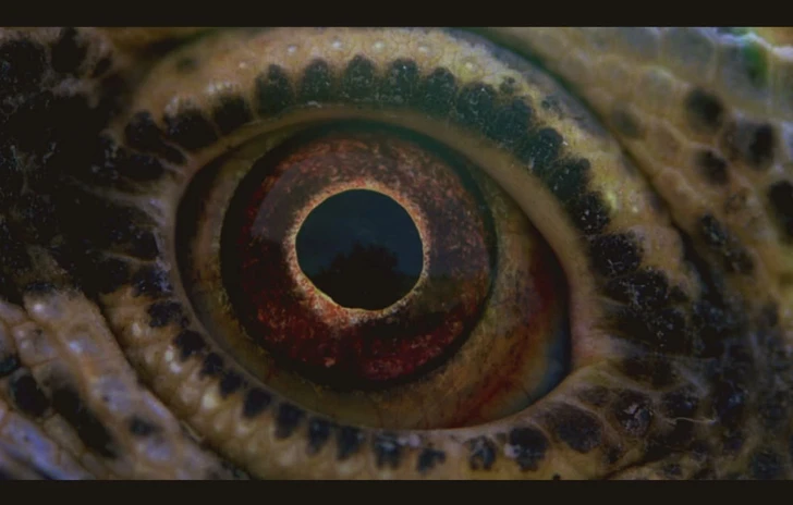 Voyage of Time si mostra in immagini