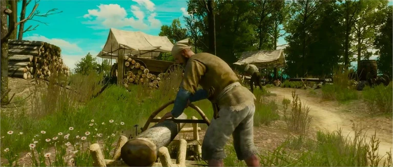 Un trailer per la nuova regione di The Witcher III Blood and Wine