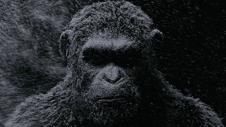 La FSK approva il nuovo trailer di War for the Planet of the Apes