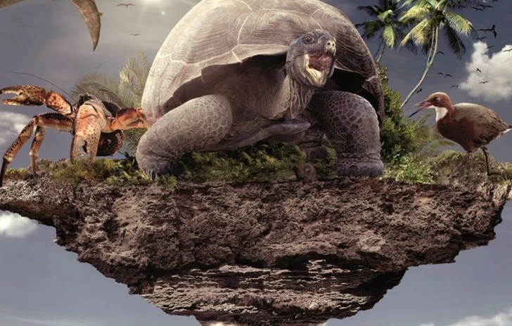 Lisola che non cè esiste davvero