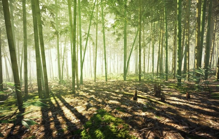 Koei Tecmo rilascia un corposo set di immagini di Dynasty Warriors 9