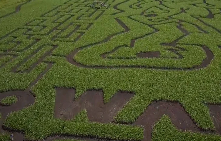 Il nuovo trailer di Anthem è enigmatico