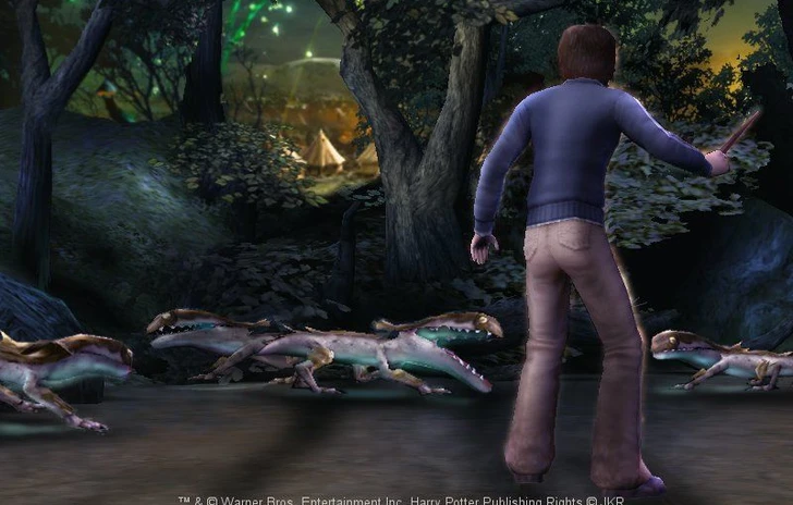 Harry Potter e il calice di fuoco