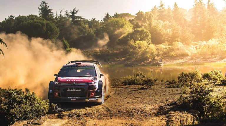 Annunciato WRC 8