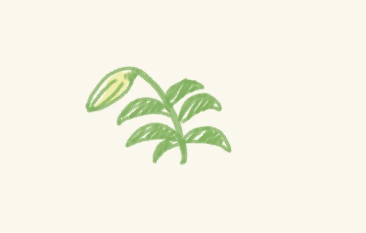 Nippon Ichi fa teasing con un nuovo sito