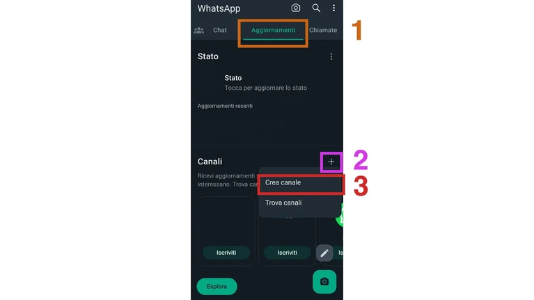 Come funzionano i canali WhatsApp | la guida completa