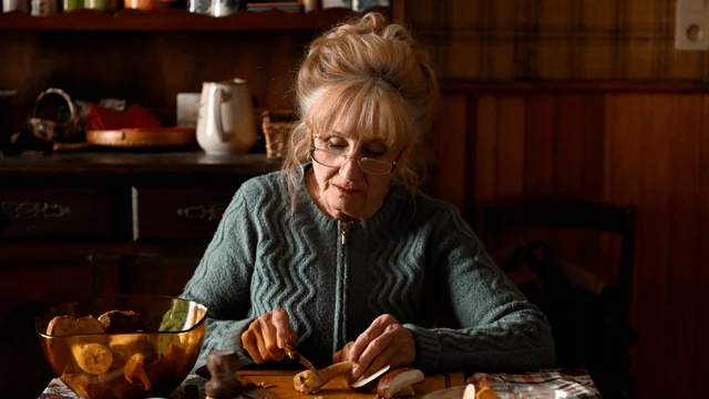 Sotto le foglie prova che i gialli migliori spesso non hanno risposta la recensione del thriller di Franois Ozon