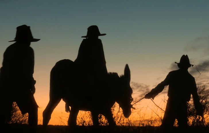 Con Wolfram lo specialista del western australiano Warwick Thornton ha fatto finalmente centro