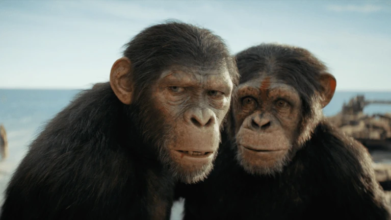 Il regno del pianeta delle scimmie recensione le scimmie sono sempre più vere ma non scatta la scintilla